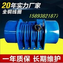 ZDS-50-6三相振動電機(jī) 6級3.7KW全銅線圈