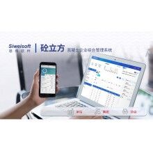 攪拌站系統(tǒng)軟件有哪些？思偉軟件砼行APP