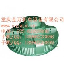 T、TL系列電機(jī)